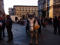  Firenze(11).jpg